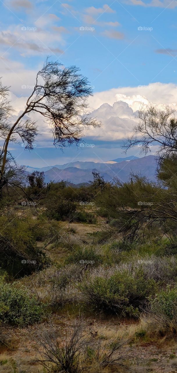 Clouds gather in the desert calm before the storm.