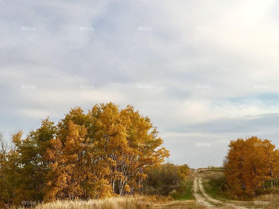 Autumn back road 