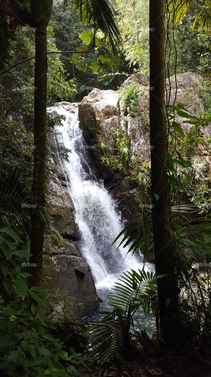 Waterfall in Puerto Rico