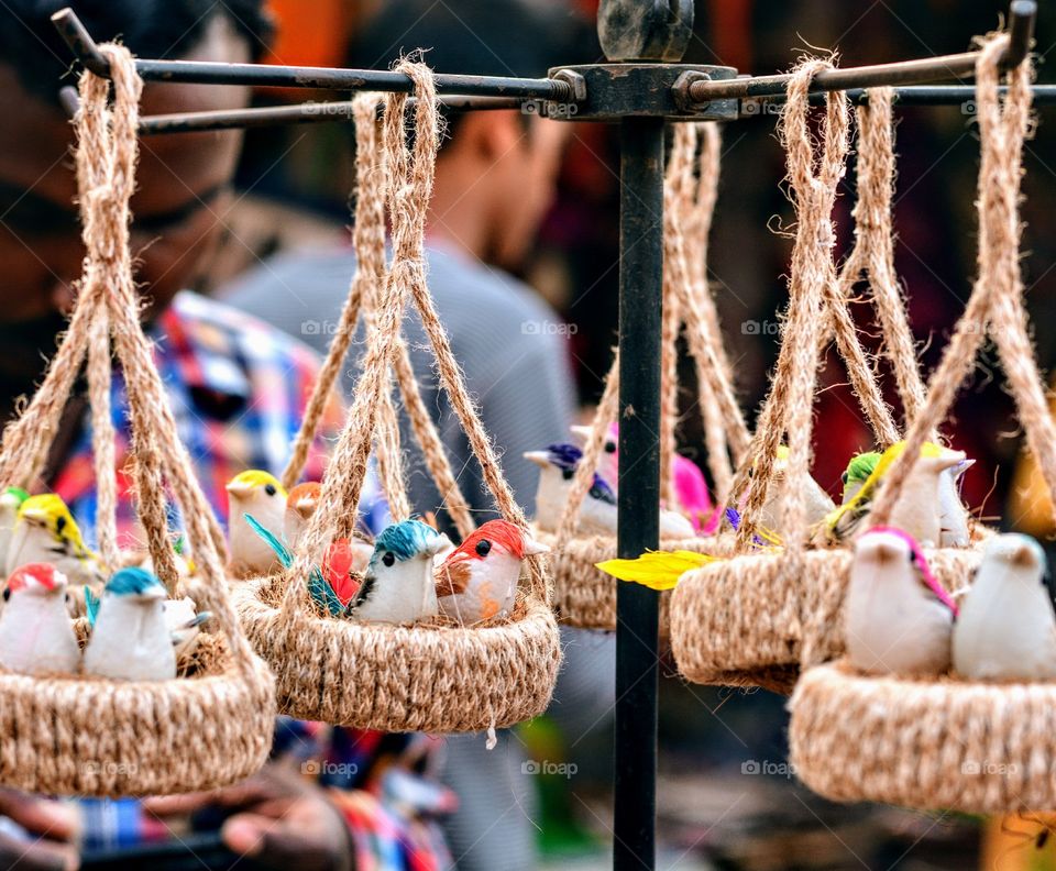 this is something really cute if exist in nature🐤🐦