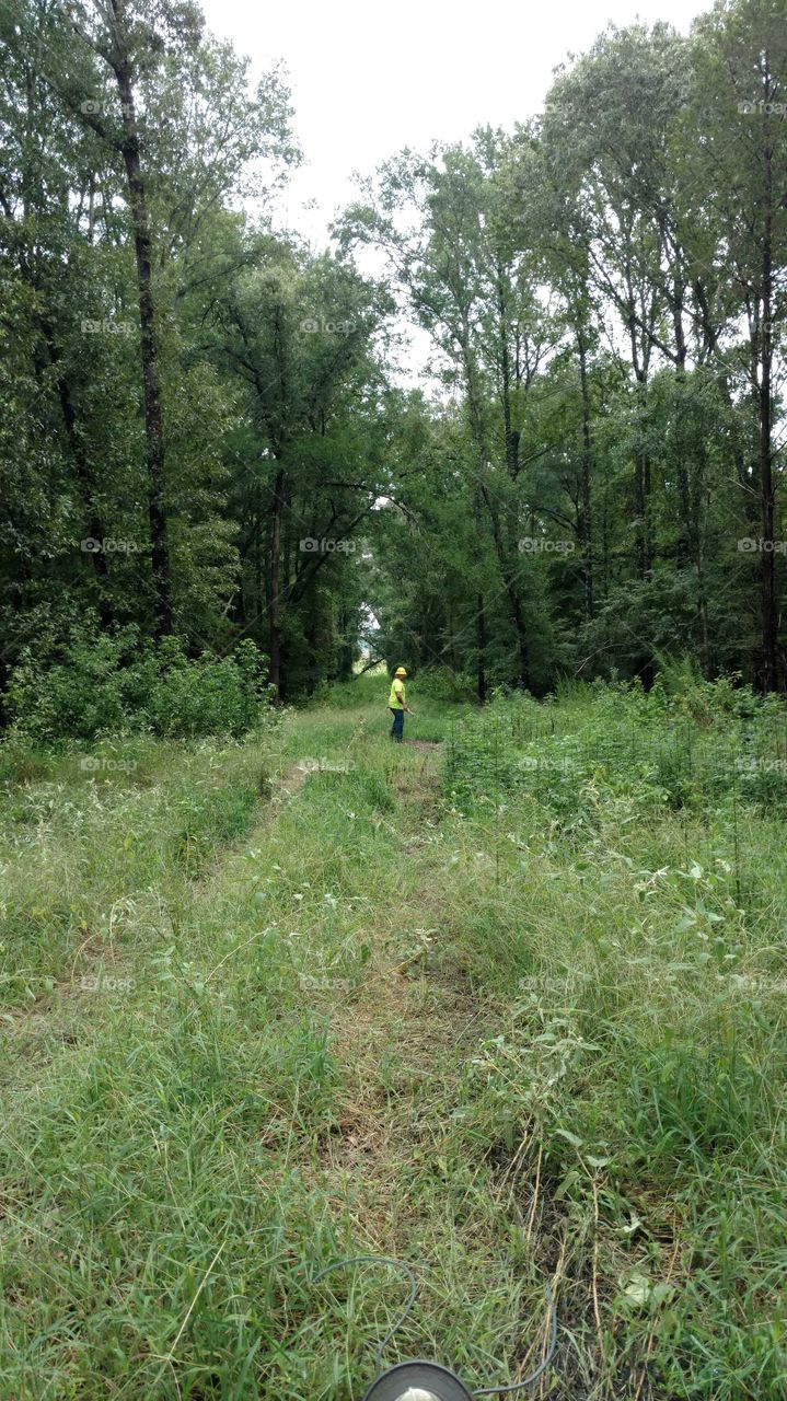 Getting Ready to Clear out the Easement