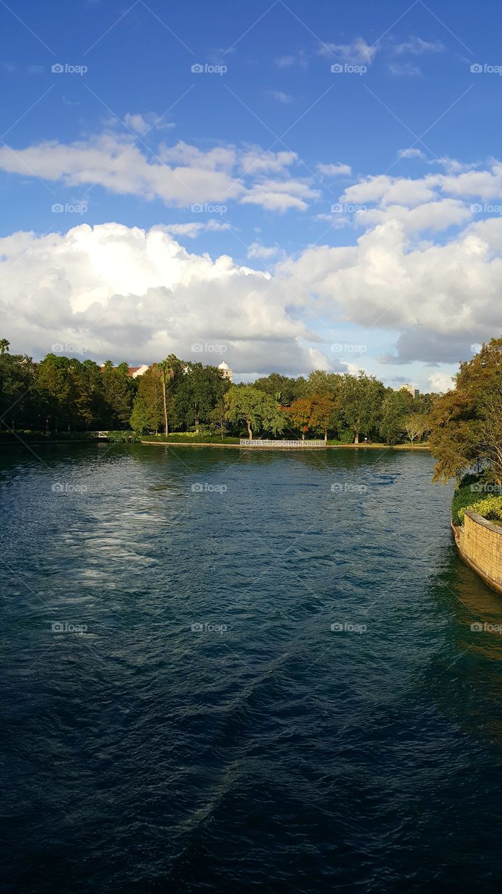 Beautiful Lake / Tree Line shot