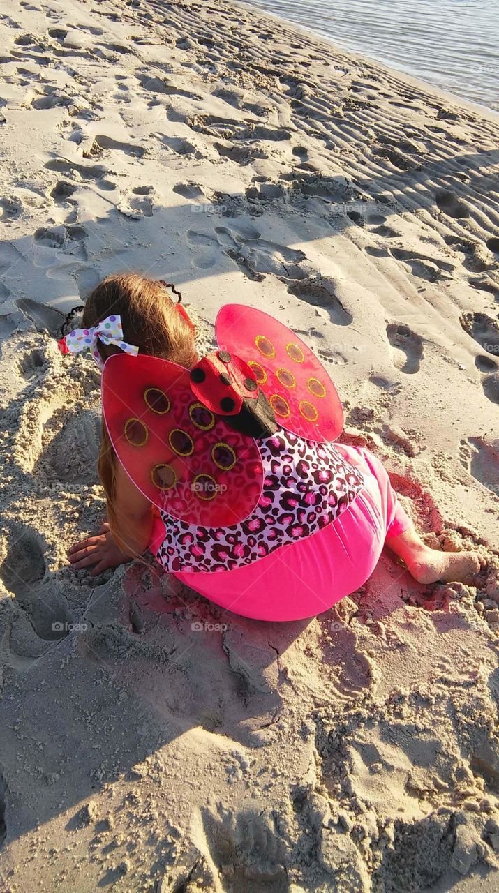 found this lady bug on the beach