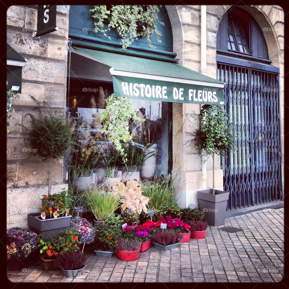 Flower shopping in Paris...
