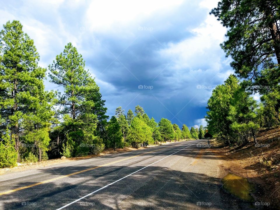 Beautiful view on a scenic road near Flagstaff, AZ