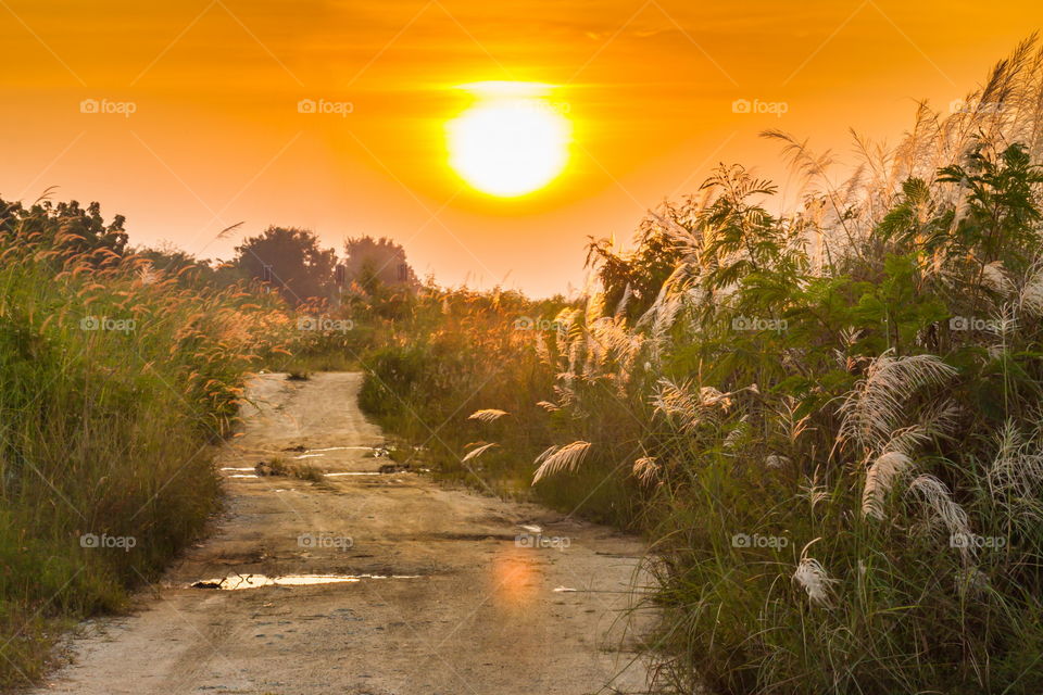 sunrise and country road