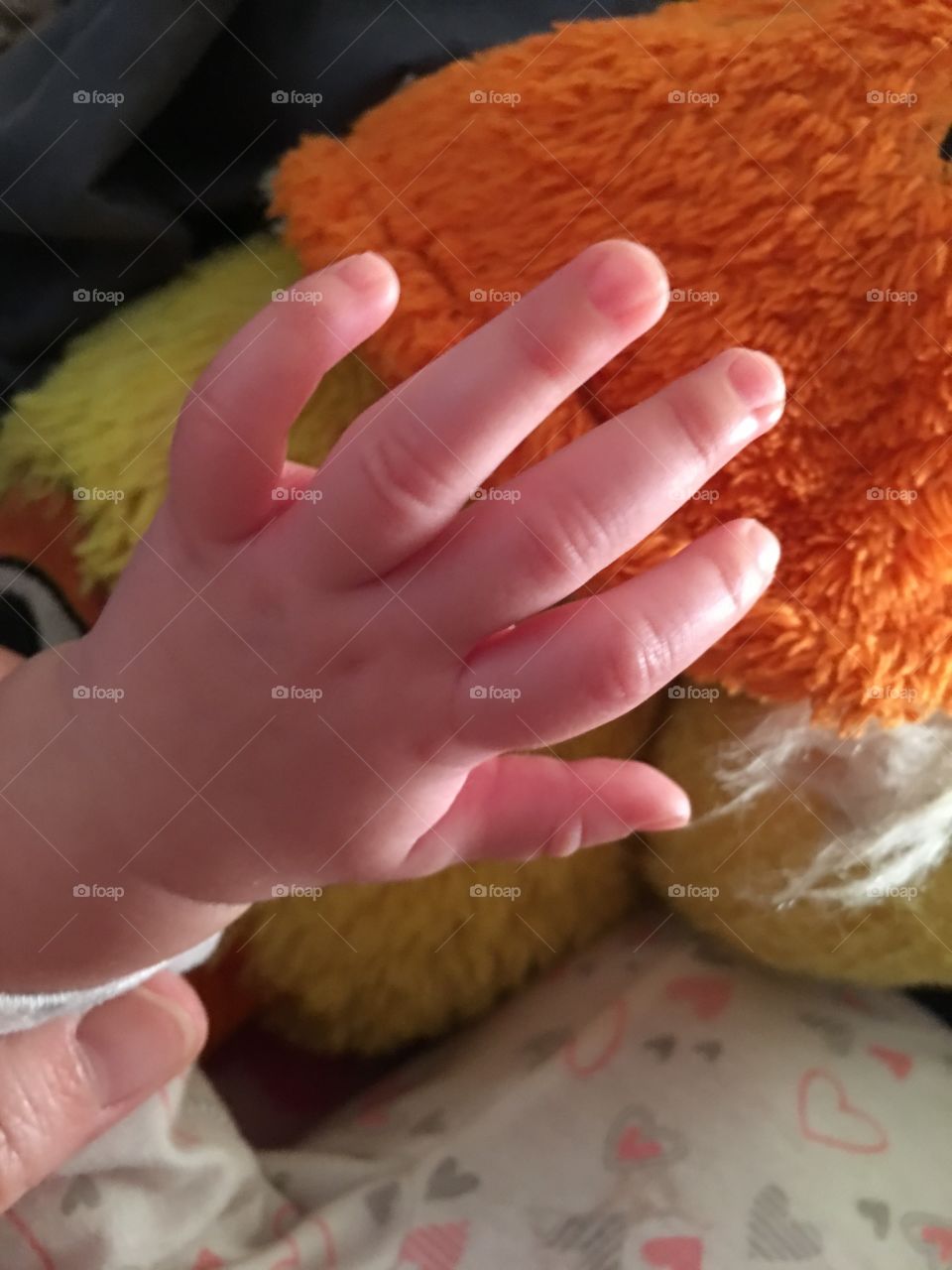 Tiny hand