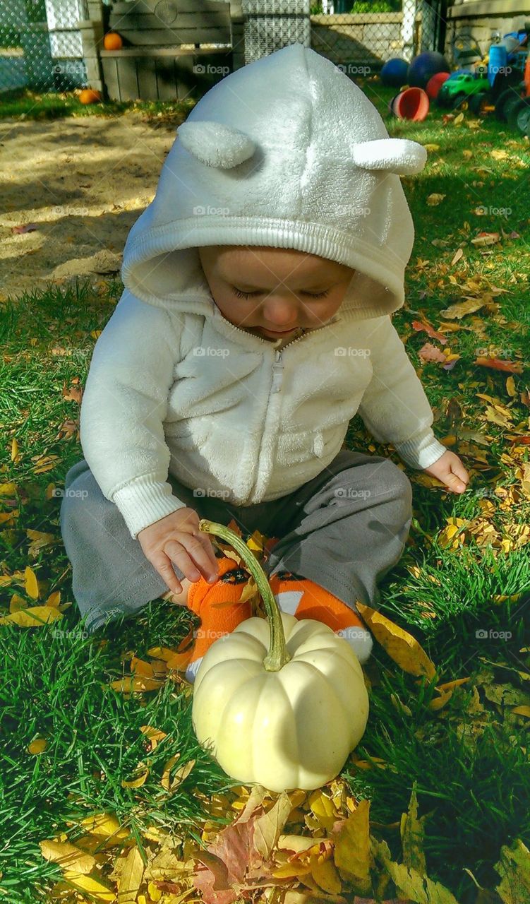 Tiny Pumpkin