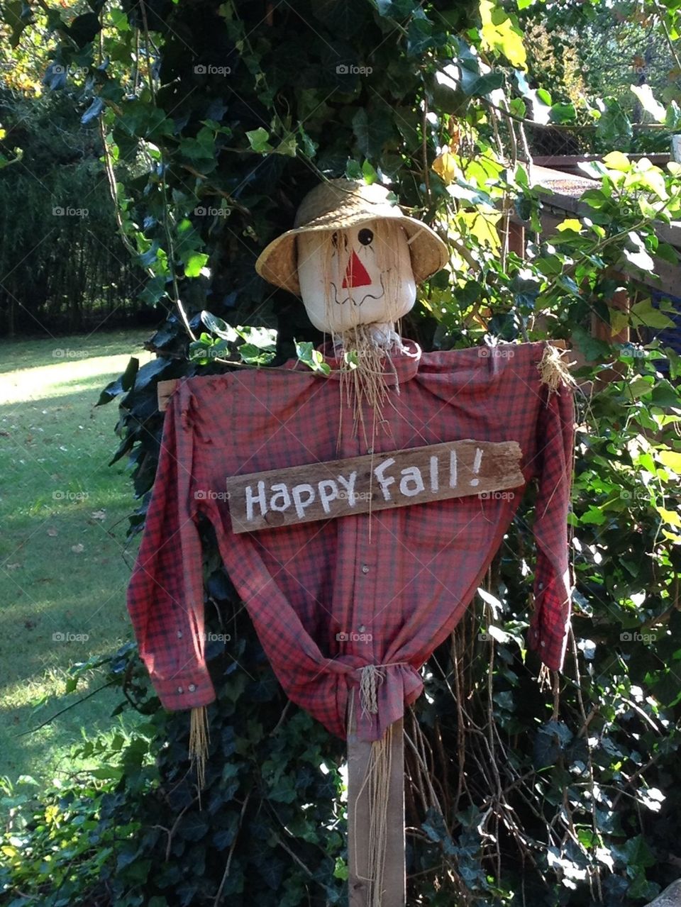 Scarecrow in the fall