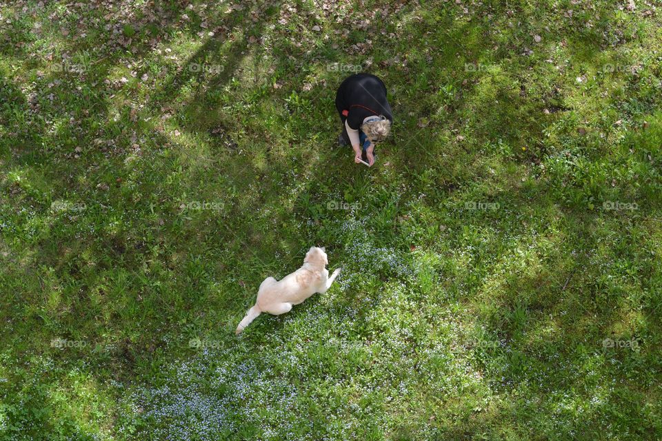 woman and dog top view green background spring time