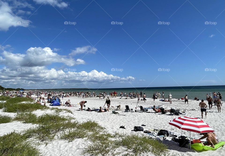 Summer at the beach