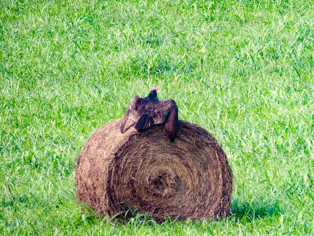 Stopped for a Rest