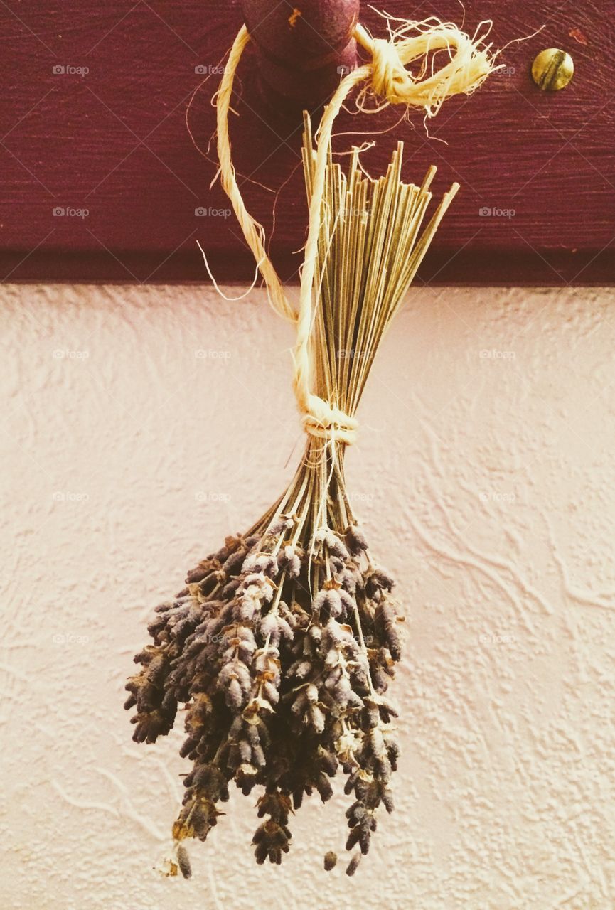 A small bouquet of dried Lavender