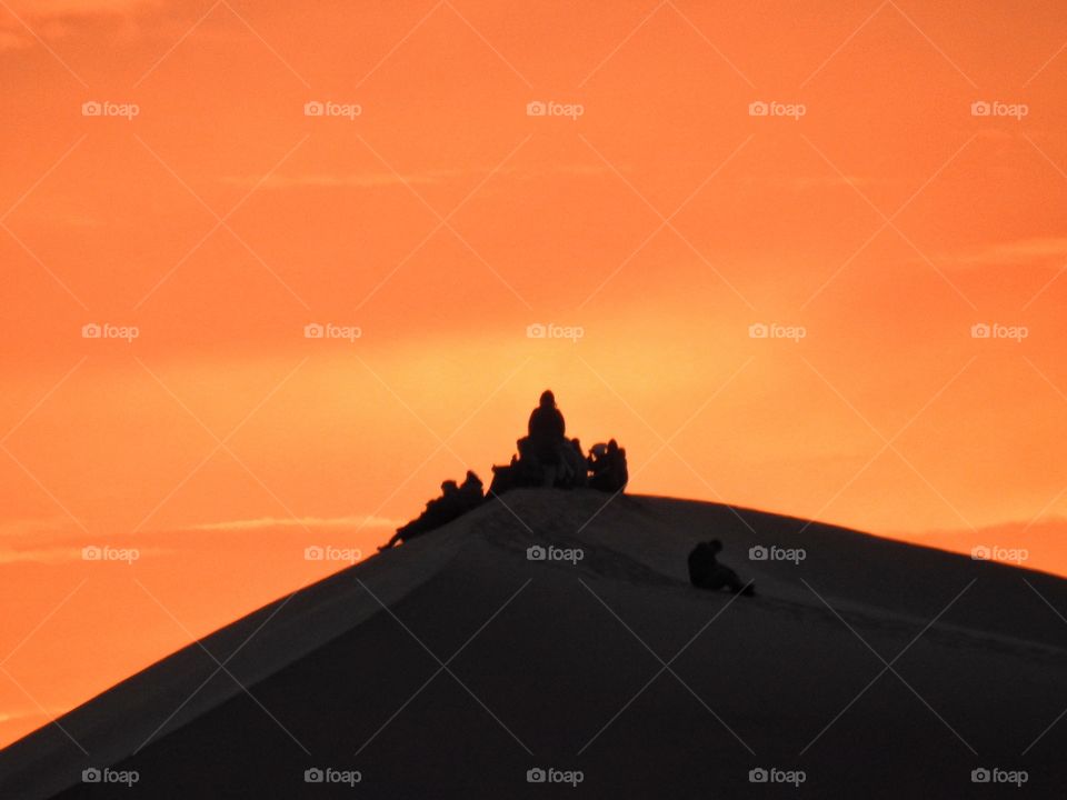 Silhouette of people in desert