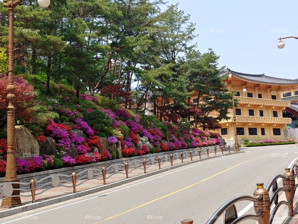 south Korea traditionally cultural house