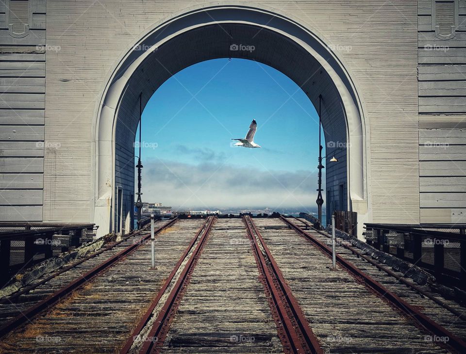 Abandoned pier on the San Francisco waterfront with a seagull flying overhead 