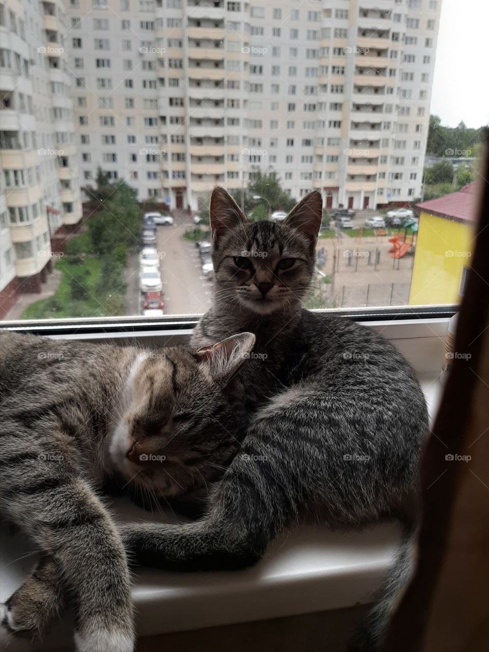 Ты   поспи,   я   поохраняю!