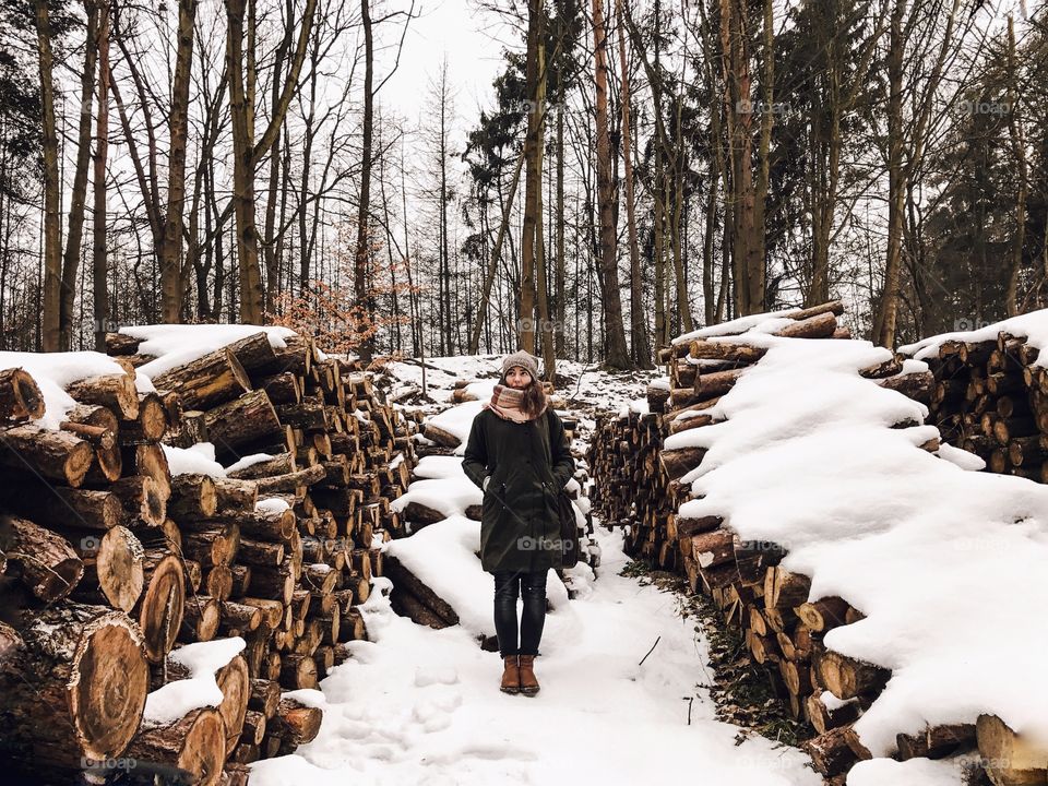 Winter, Snow, Wood, Tree, Cold