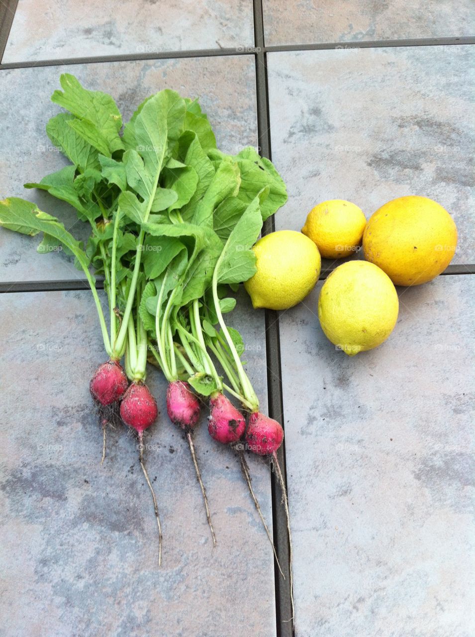 Fresh picked radishes and lemons from the garden for supper. 