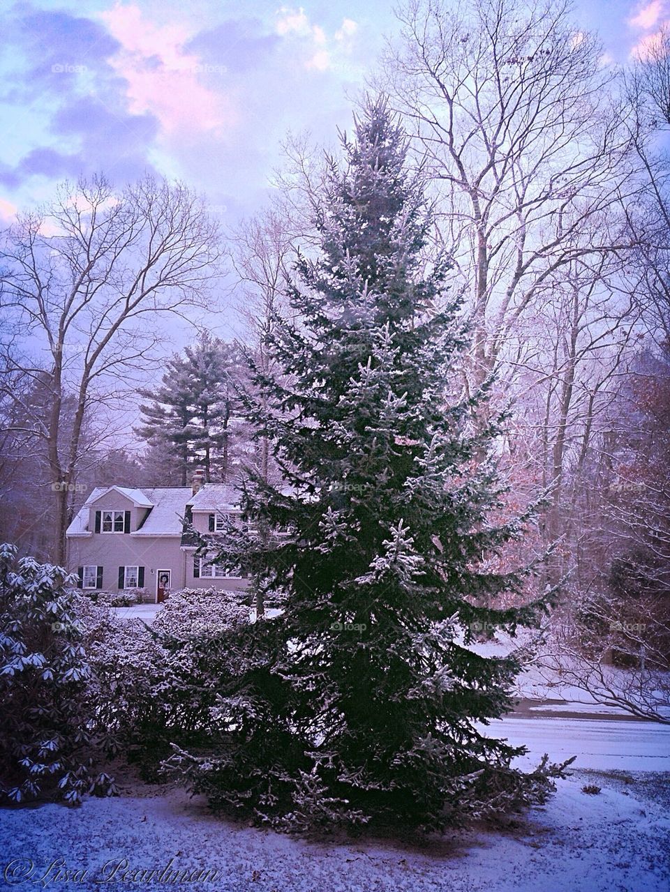 Winter in Massachusetts