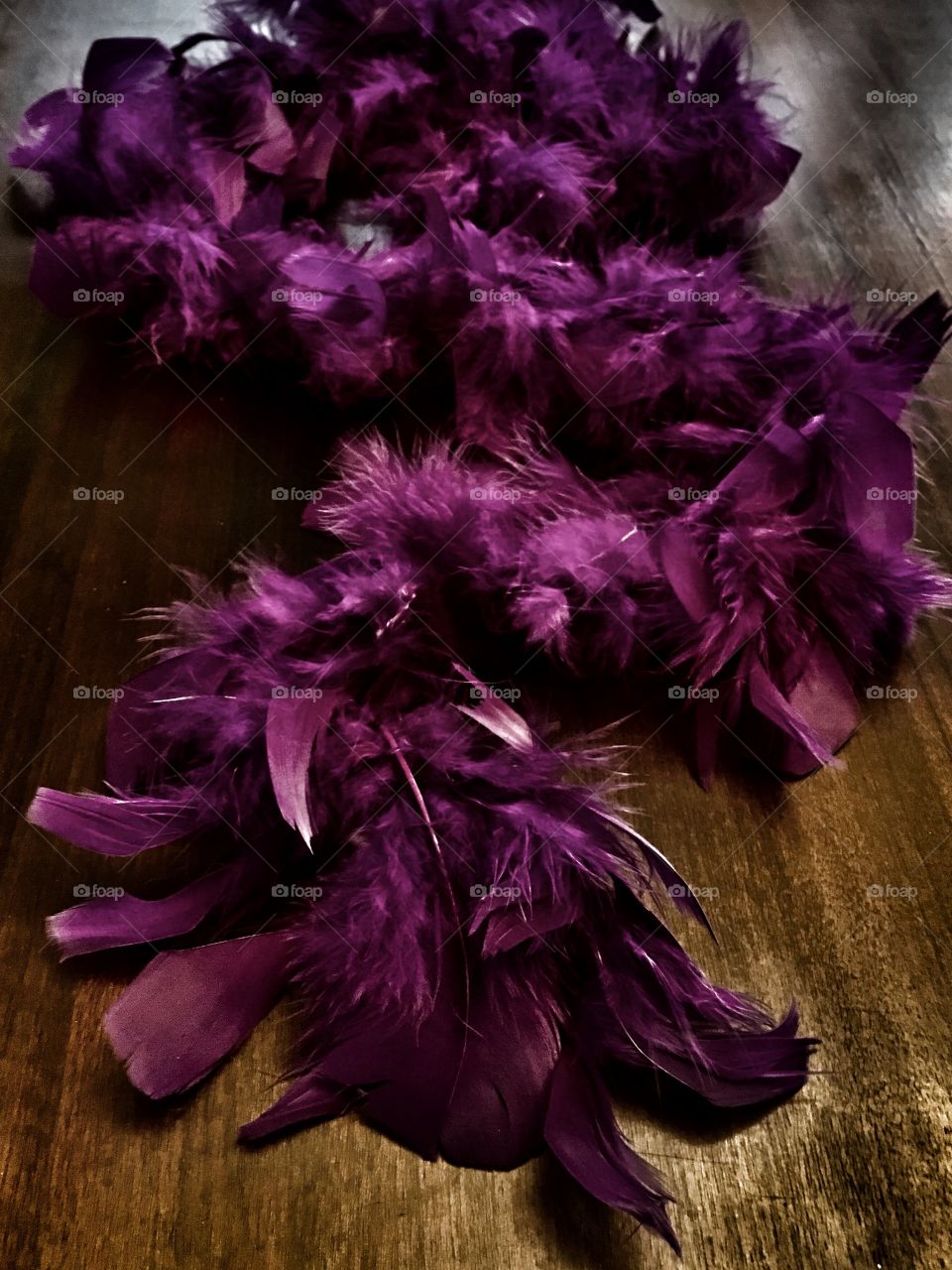 Purple feathered boa