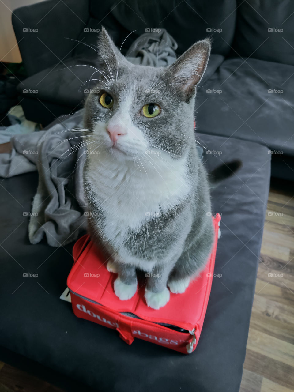 No bad is small enough to sit on