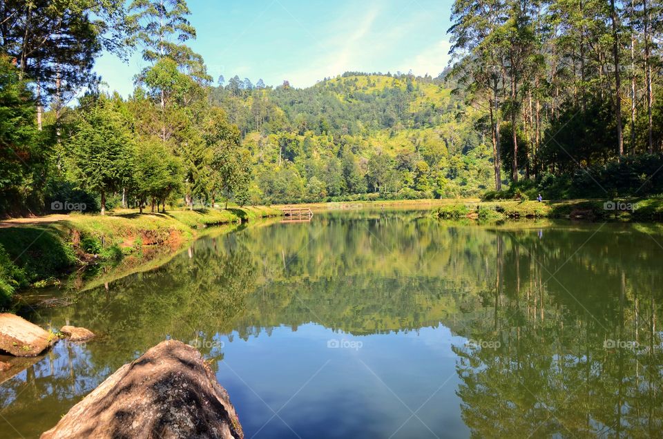 morning view in the lake