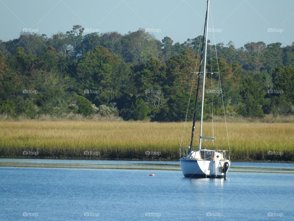 Sailboat moored in the marsh