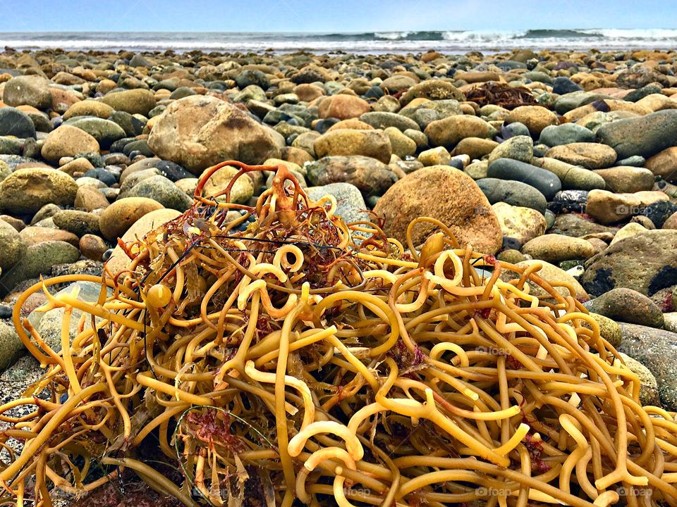 Foap Mission Shapes! Seaweed, Rocks and Waves