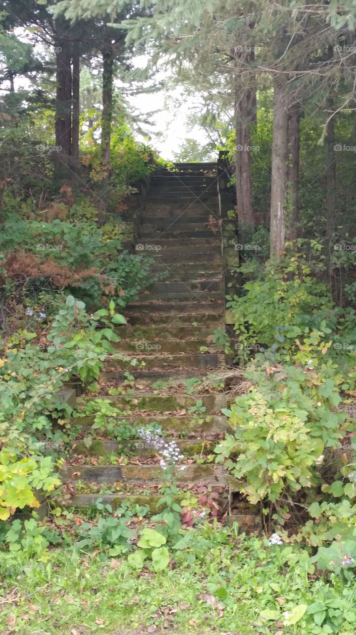 garden stairs. making my way out