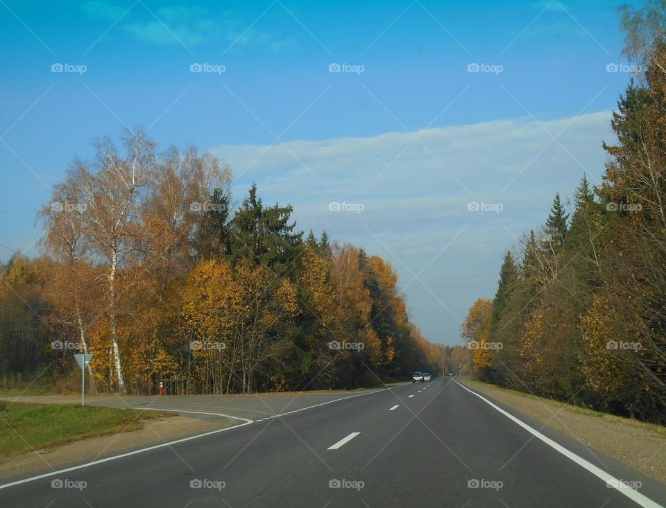 autumn landscape and road