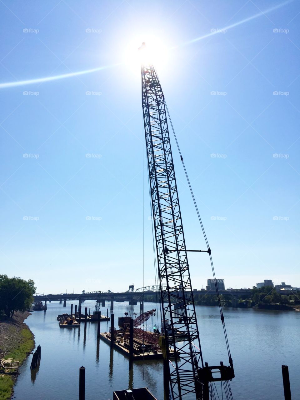 Crane on the Arkansas River 
