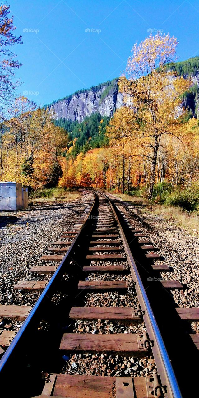 train tracks on a beautiful autumn afternoon
