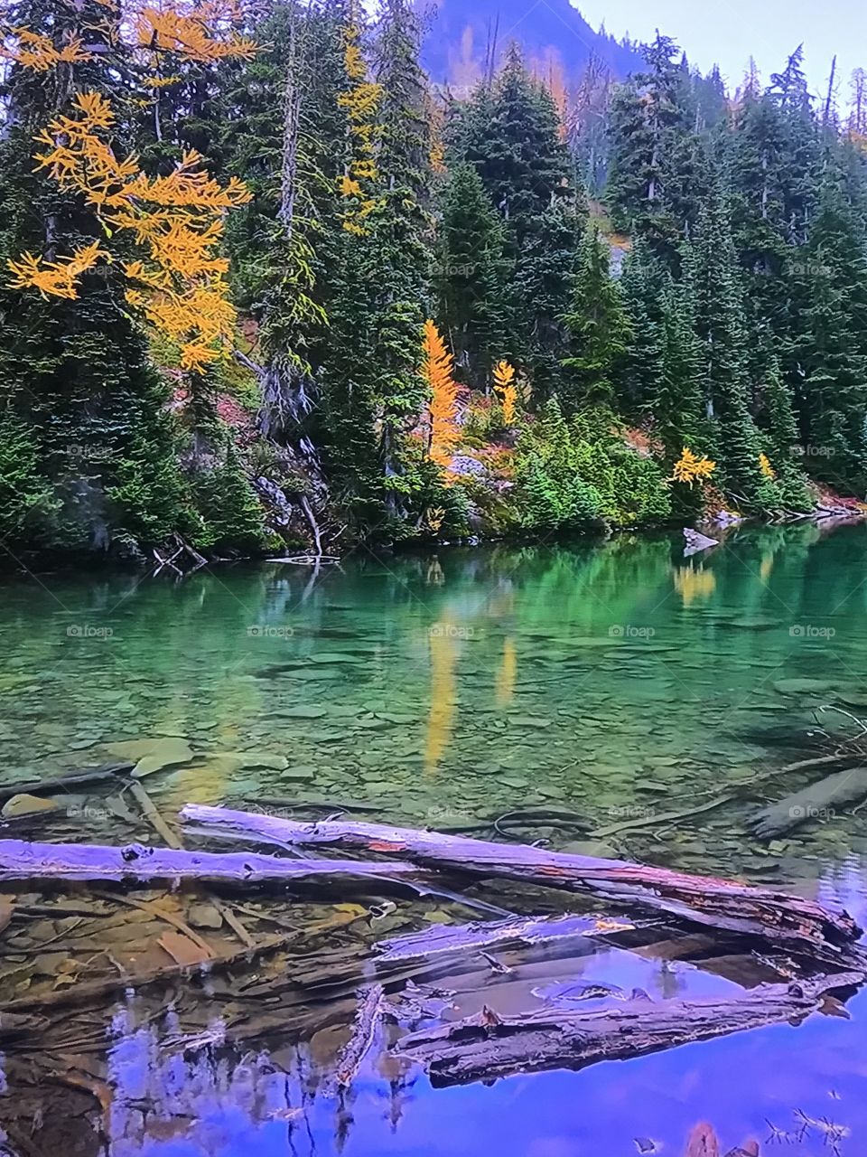 Washington falls of lake 