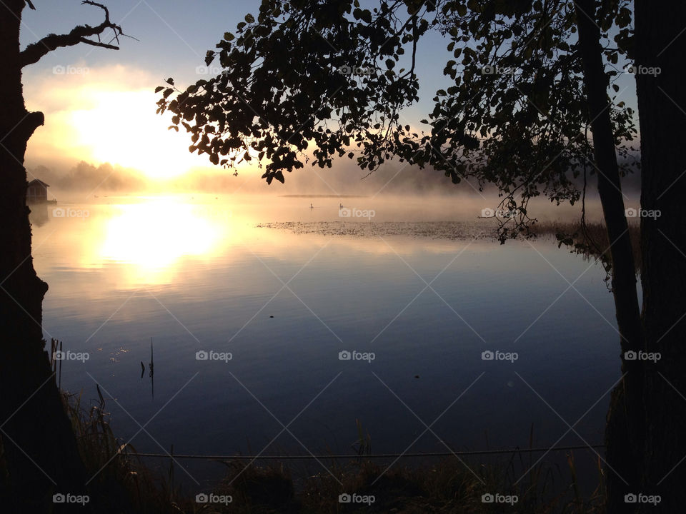 morning sunrise sunset dusk dawn calm water lake morning clear sky water early fog foggy misty by zebra