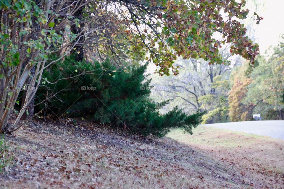 Fall country landscape 