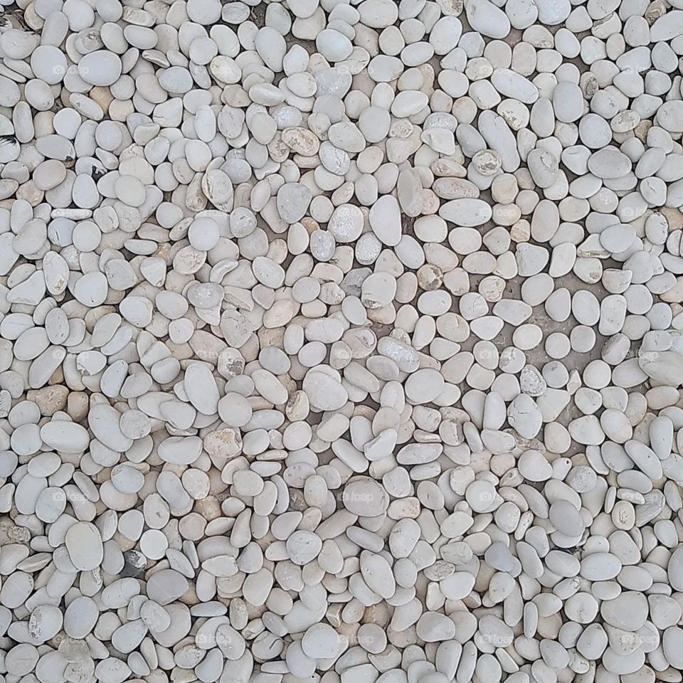 Small white stones