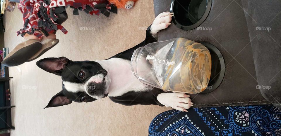 play with me..... wait... I hear something