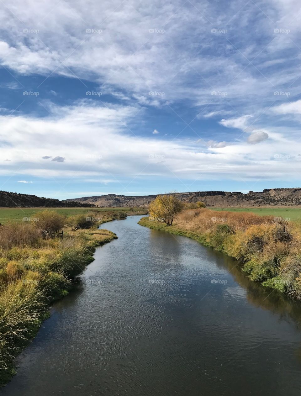 The Crooked River in Central Oregon flows along its banks covered in foliage that had changed to fall color underneath a deep blue sky accented with clouds.