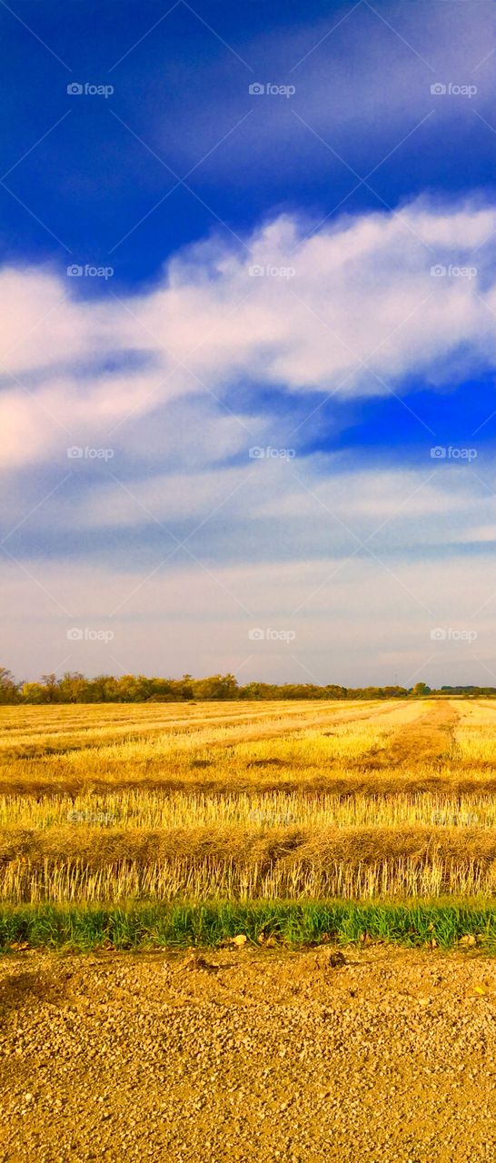 Brandon Manitoba prairie 
