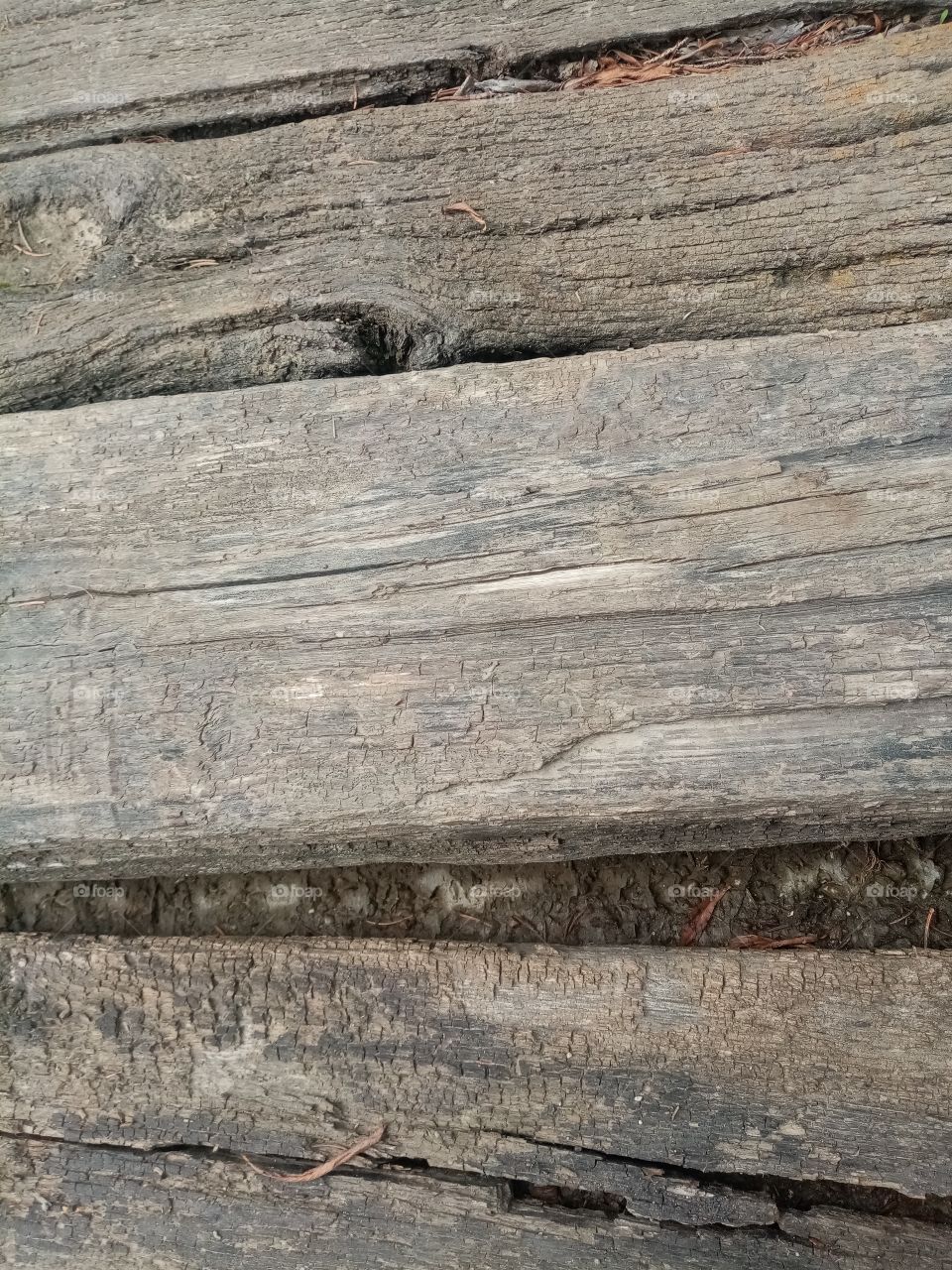 Wood