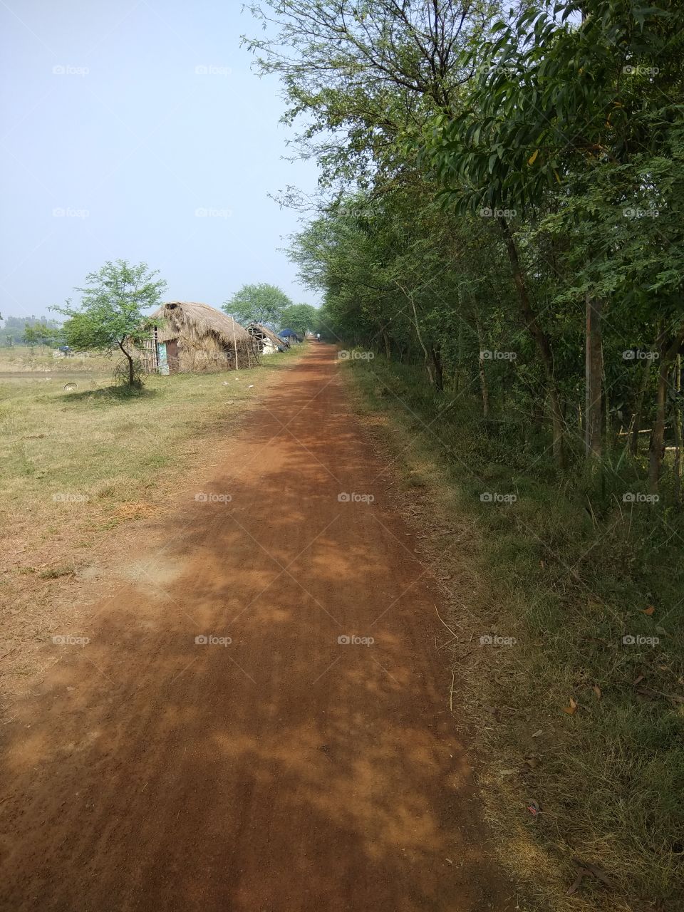 A rural road