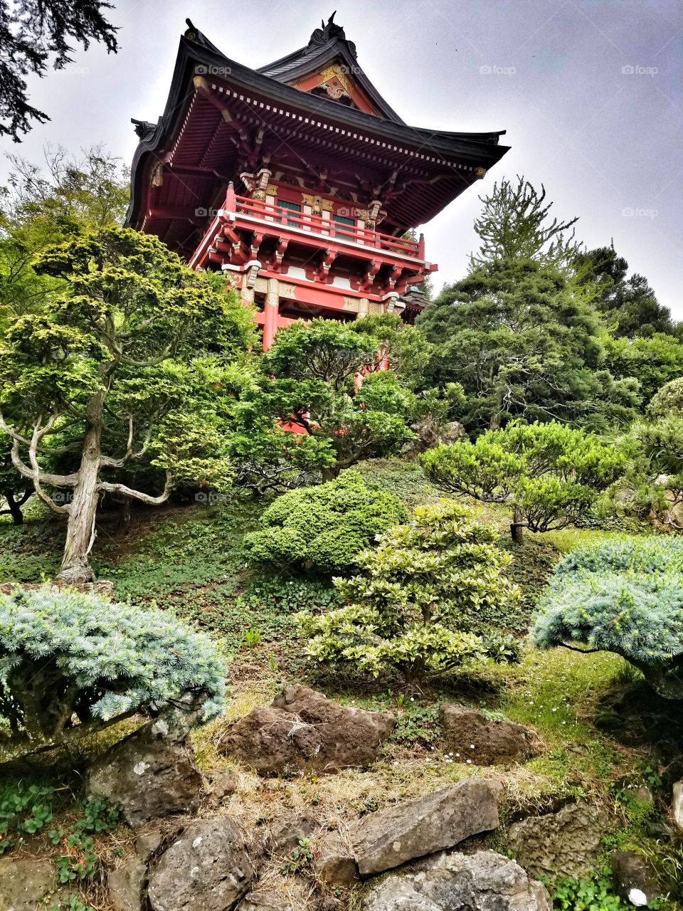 One With It's Surroundings