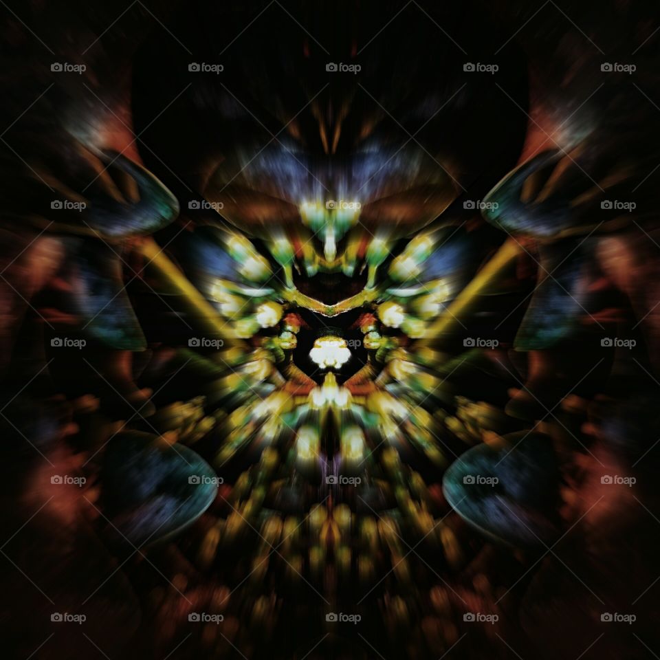 X-Mas Plant Distortion