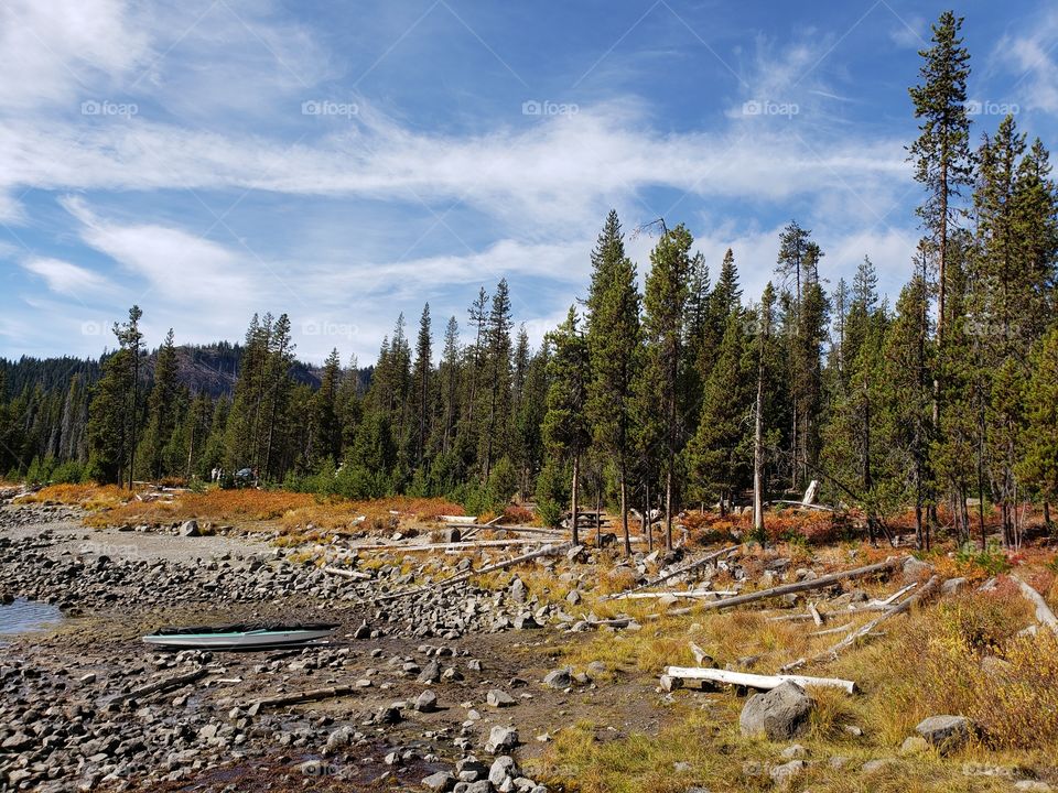 Brilliant fall colors of a landscape on the shores of Elk Lake in Oregon’s Cascade Mountains