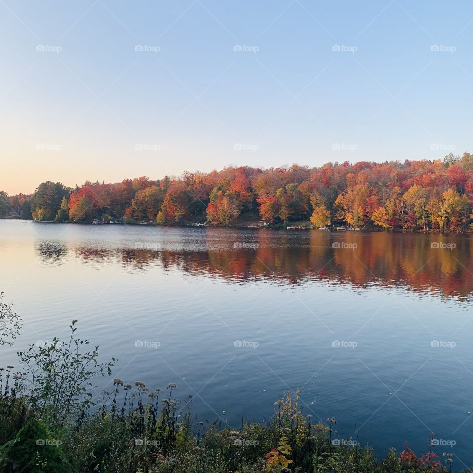 Autumn at the lake 🍂