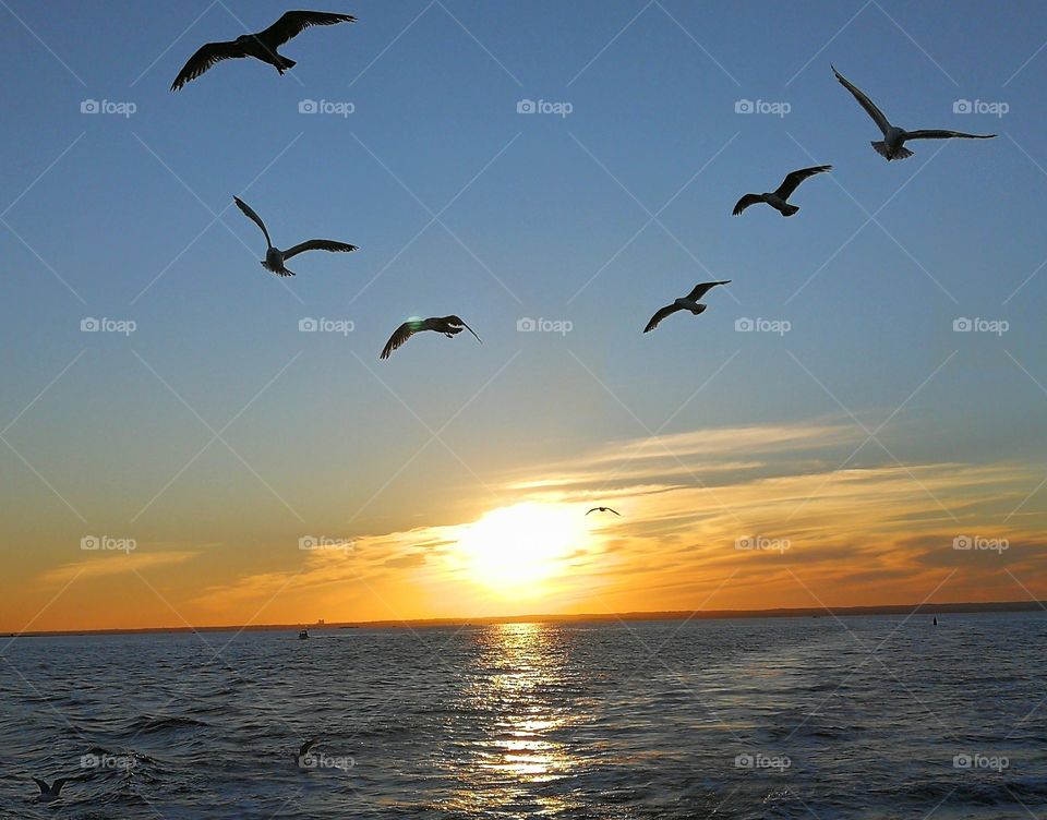 Sunset sailing the sea