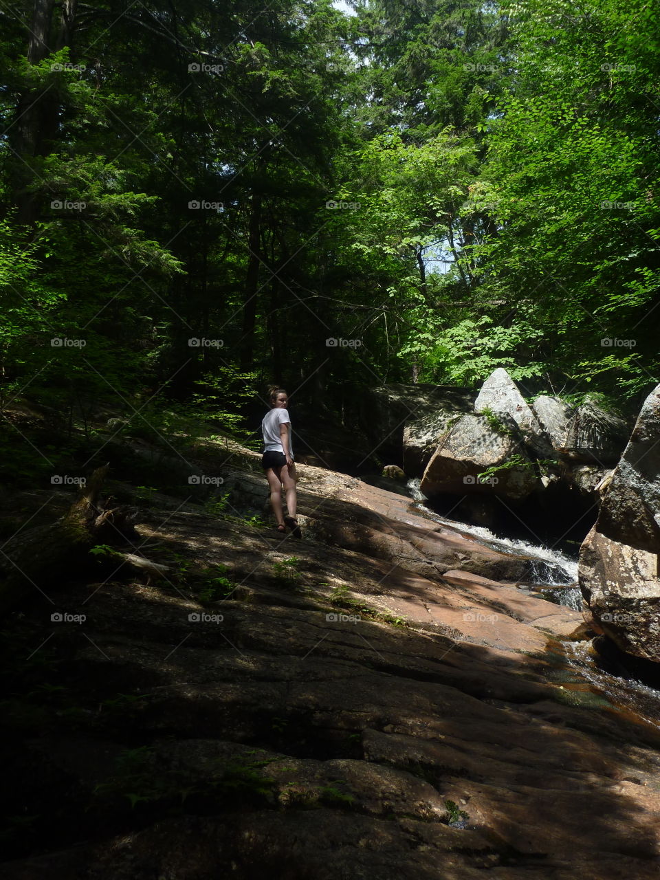 Landscape, Wood, Nature, Outdoors, No Person