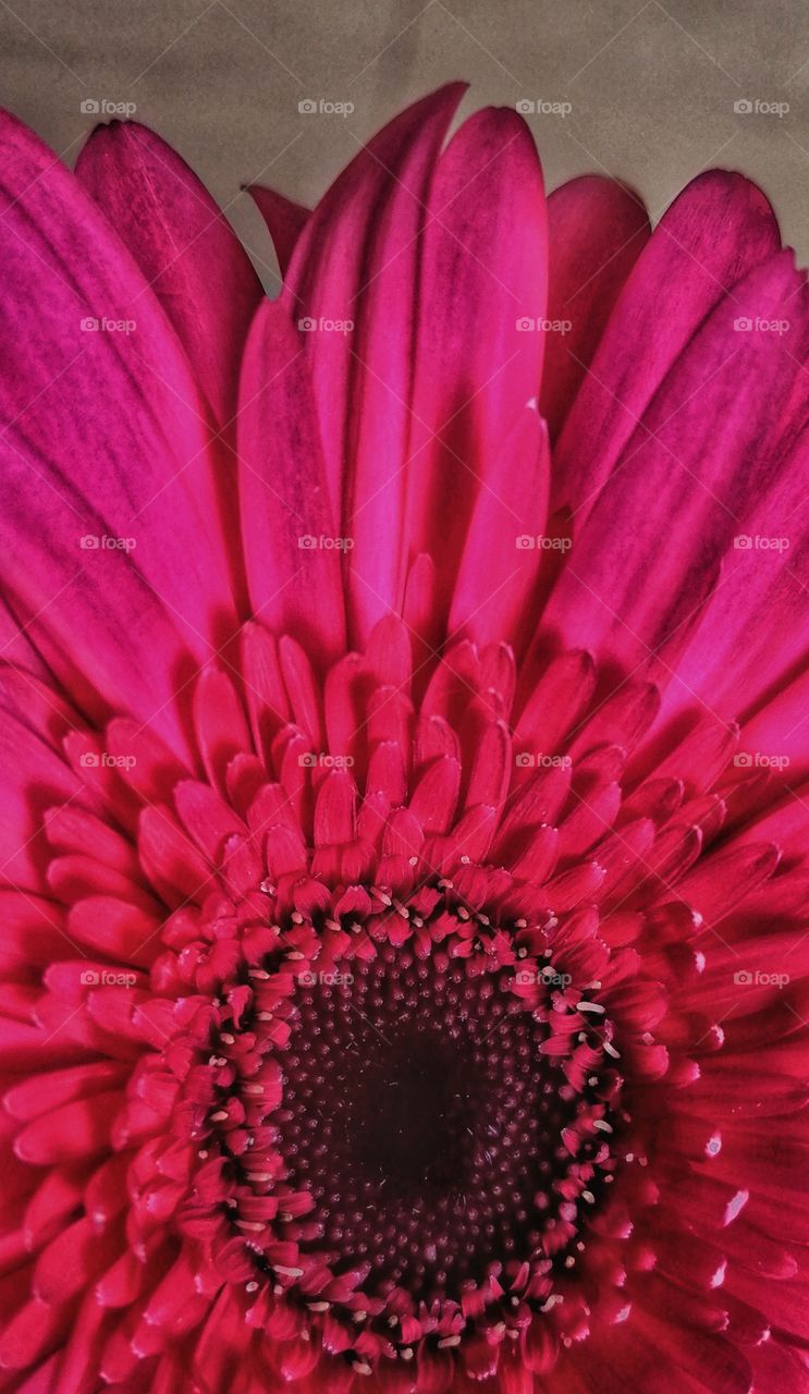 Happiness blooms from within.. 🌸