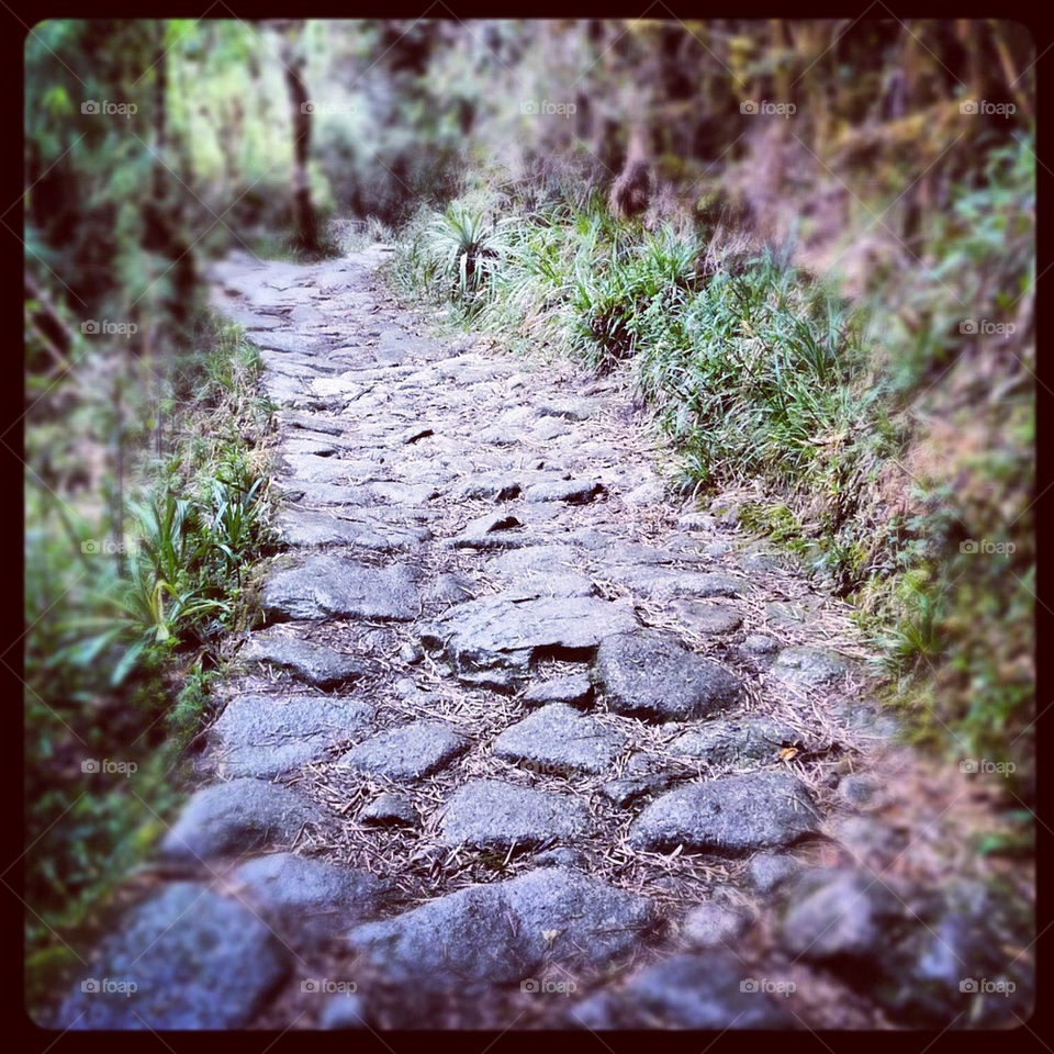 path peru inca trail by DanielJones